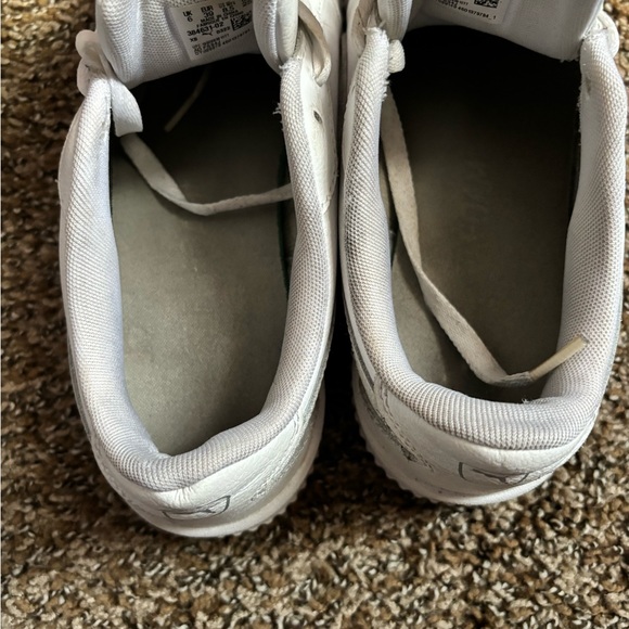 White puma - Picture 6 of 6